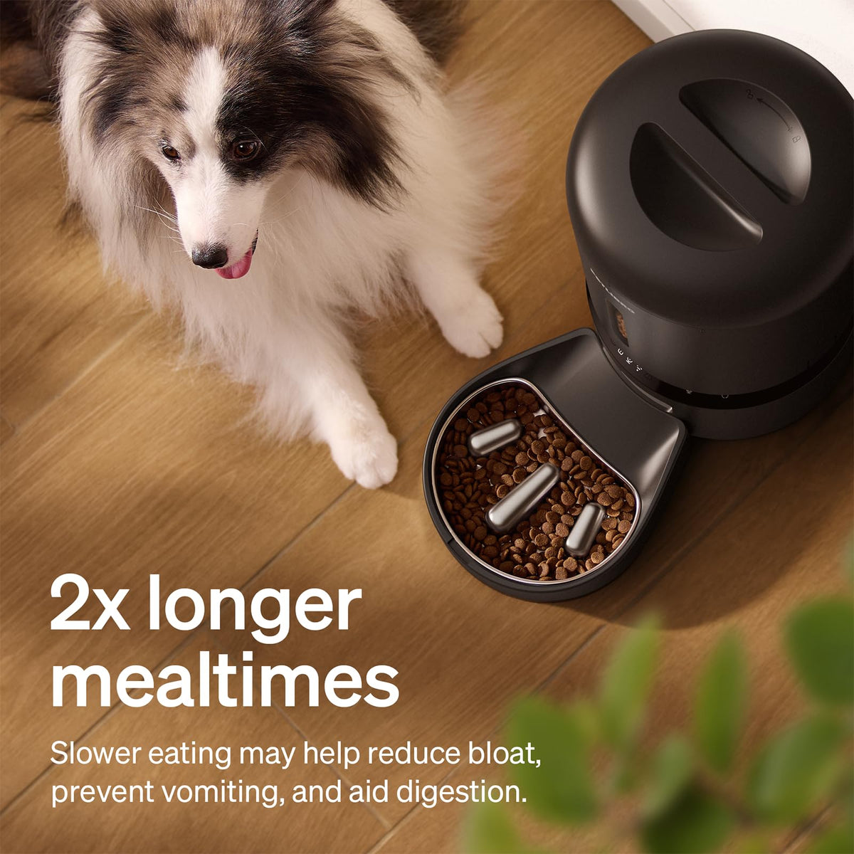 PETLIBRO Smart Automatic Pet Feeder with Camera